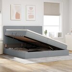 vidaXL Lit de Rangement Gris clair 200 x 200 cm Cuir synthétique