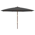 vidaXL Parasol de jardin avec mât en bois anthracite 400x273 cm