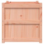 vidaXL Jardinières 2 Pièces bois massif douglas