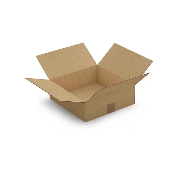 Caisse carton brune simple cannelure à base carrée raja 30x30x10 cm (lot de 25)
