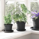 vidaXL Pot à fleurs rond 6 Pièces Noir Ø 15 x 12 cm Plastique