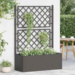 vidaXL Lit surélevé de jardin treillis système d'arrosage Anthracite