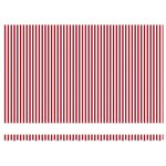 vidaXL Auvent Rétractable Rouge et blanc 500 × 300 cm Tissu  Métal