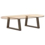 vidaXL Pieds de table basse en forme de V  2 pièces  acier naturel  60 x (30-31 3) cm