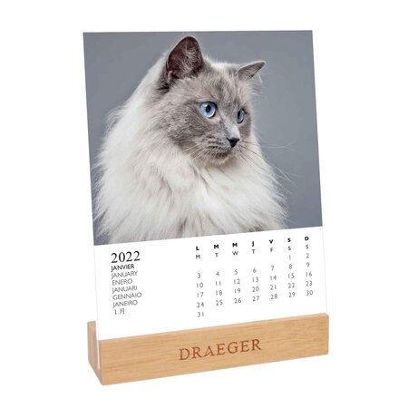 Calendrier 2022 sur socle - chats - draeger paris