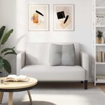 vidaXL Coussin de Dos Gris nuage 60 x 24 x 50 cm tissu