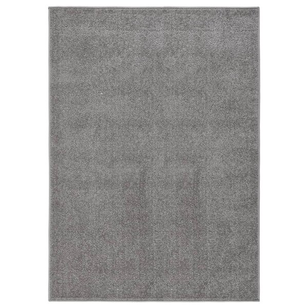 vidaXL Tapis à poils courts 120x170 cm Gris