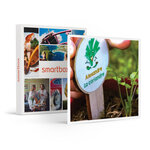 SMARTBOX - Coffret Cadeau 3 mois d'abonnement à une box jardinage pour enfant -  Sport & Aventure