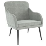 vidaXL Fauteuil Gris clair 63x76x80 cm Velours