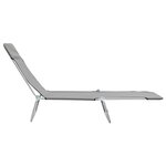 vidaXL Chaises longues pliables 2 Pièces Acier et tissu Gris