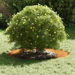 vidaXL adapté pour anneaux d'arbre plats 5 Pièces Marron Ø40 / 70 cm