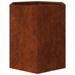 vidaXL Jardinière Rouillé 40x40x45 cm Acier corten