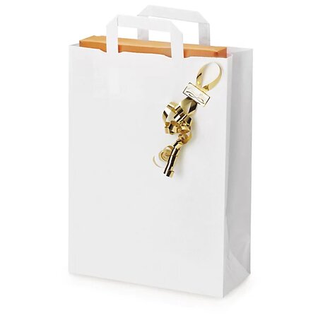 Raja clearance sac kraft