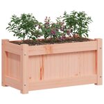 vidaXL Jardinière 60x31x31 cm bois massif douglas