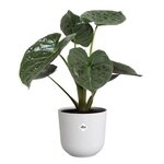 Pot de fleur Jazz Rond - Blanc - L 35 x B 34.5 x hauteur 32 cm - Intérieur 100  recyclé