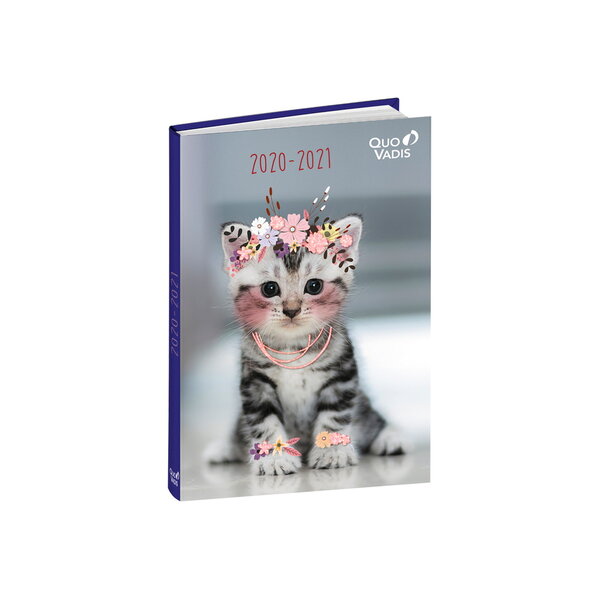 Agenda Scolaire 2020-2021 - 17x12 cm - Multilingue - Funny Chaton