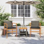 vidaXL Chaises de jardin coussins lot de 2 gris résine tressée et bois