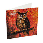 Kit carte broderie diamant 18x18cm hibou