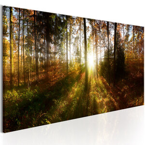 Tableau - beautiful forest  l x h en cm 135x45