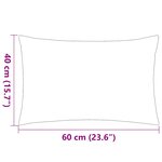 vidaXL Oreiller d'extérieur lot de 2 Impression rayure 60 x 40 cm Bleu