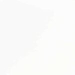 vidaXL Chaises à manger 2 Pièces blanc bois massif caoutchouc