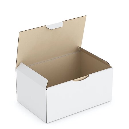 Boîte carton blanche d'expédition rajapost 19 5x13 5x9 cm (lot de 50)