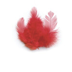 Plume de coq Rouge 10 cm 3g