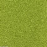 Papier Vert mai Poudre paillettes 200 g/m² 30 5 cm