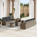 Set de Canapé de Jardin 10 Pièces avec Coussins Gris Poly Rattan Acacia