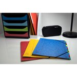 Trieur Harmonika Fenêtres Imprimées Véritable Carte Lustrée 7 Compartiments - Couleurs Assorties - X 8 - Exacompta
