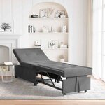 vidaXL Canapé-Lit Gris foncé 67 x 194 x 82 cm