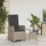 vidaXL Chaise inclinable de jardin avec coussins gris résine tressée