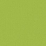 vidaXL Oreiller d'extérieur lot de 2 60 x 40 cm Vert pomme