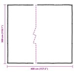 vidaXL Couverture pour plantes Transparent 3 x 4 m PE