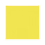 8000 POLYPRO  Cahier piqué jaune 21x29 7cm 48p séyès 90g CALLIGRAPHE
