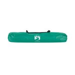 vidaXL Tente de plage 2 personnes libération rapide imperméable