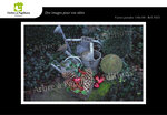 Lot de 4 cartes postales - noël 2 - photos frédéric engel