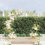 vidaXL Arche de mariage Doré 220 x 45 x 200 cm Acier