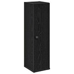 vidaXL Meuble de salle de bain avec porte-rouleau noir 20 5x22x72 cm