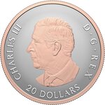 Pièce de monnaie en Argent 20 Dollars g 31.1 (1 oz) Millésime 2026 CELEBRATE LOVE