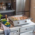 Plancha électrique inox 2 thermostats 2800W - Plaque amovible inox - 2 thermostats ajustables