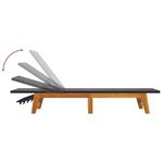 vidaXL Chaises longues lot de 2 noir/marron résine tressée/bois acacia