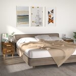 vidaXL Tables de chevet 2 Pièces Chêne fumé 40x35x47 5 cm