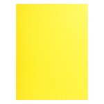 Paquet 25 chemises Double Poche ROCK''S 210 double A4 ou A3 - 24x32cm Jaune citron x 10 EXACOMPTA