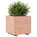 vidaXL Jardinière 50x50x49 5 cm bois massif de douglas
