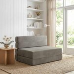 vidaXL Canapé-lit pliable Gris clair 100 x 80 x 60 cm Tissu
