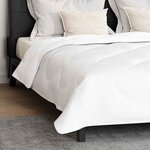 vidaXL Duvet d'hiver avec oreiller 3 Pièces Blanc 200 x 200 cm Microfibre