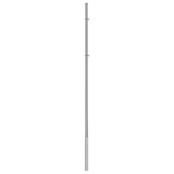 vidaXL Mât de parasol 250 cm Acier inoxydable
