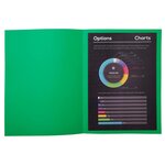 Paquet De 10 Chemises Rock''s 210 - 24x32cm - Vert Sapin - X 10 - Exacompta