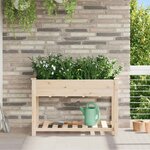vidaXL Cache-pot de jardin avec étagère Beige 115 x 59 x 76.5 cm